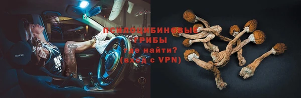 меф Инта
