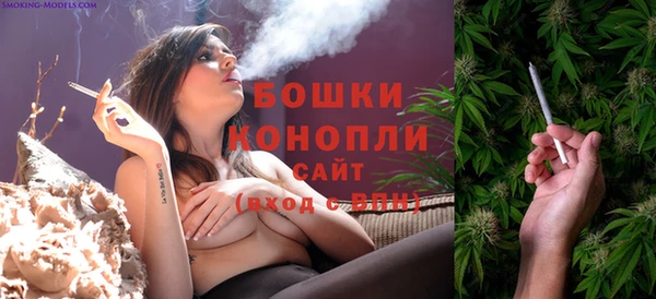 меф Инта