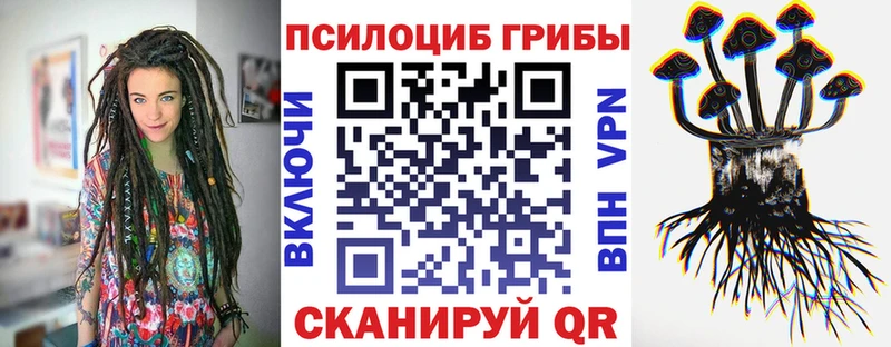 Галлюциногенные грибы MAGIC MUSHROOMS  Купить закладки  Гусь-Хрустальный 